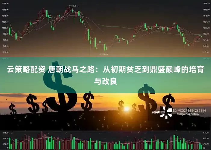 云策略配资 唐朝战马之路：从初期贫乏到鼎盛巅峰的培育与改良